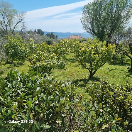 Apartment Green Oasis Split Buitenkant foto